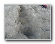 Click to enlarge this image